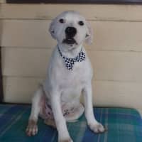 Photo of Nyx