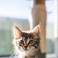 Photo of Stacys Sister