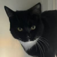 Photo of Yetti