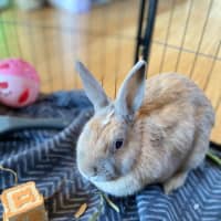 Photo of Spice Unity