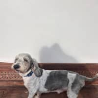 Photo of Rocky