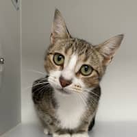 Photo of Libba 