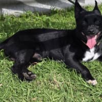 Photo of Scott (Turbo)