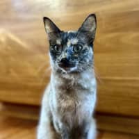 Photo of Paige   Located In Lower Plenty