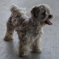 Photo of Axel