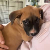 Photo of ⛰️ Coromandel's Litter (Part 2) ⛰️