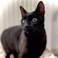 Photo of Jiji
