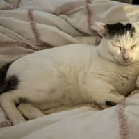 Photo of Squish
