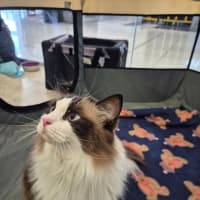 Photo of Bubbles And Lily 