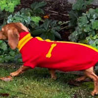 Photo of Evie And Ella