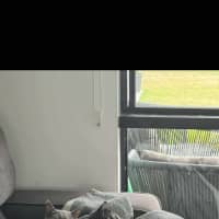 Photo of Bruno + Daisy