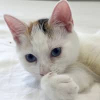Photo of Tilly