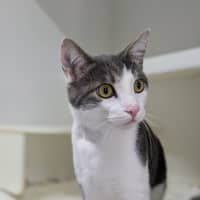 Photo of 📺 Toulouse 5727 📺