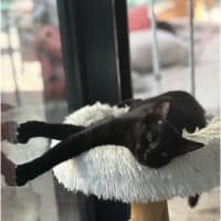 Photo of Polo