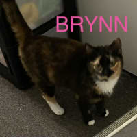 Photo of Brynn