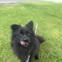 Photo of Wilma (Coco)