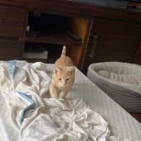Photo of Cheezel & Milo
