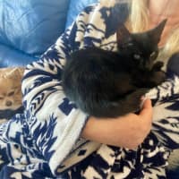 Photo of Rumor & Cider