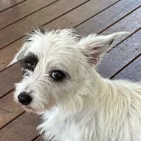 Photo of Jazz