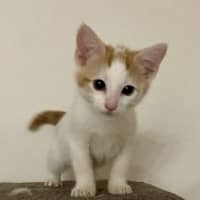 Photo of Jasper 