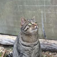 Photo of Minnie
