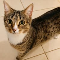 Photo of Quinn