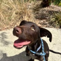 Photo of 🥯 Bagel 5769 🥯