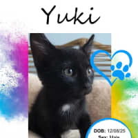 Photo of Yuki