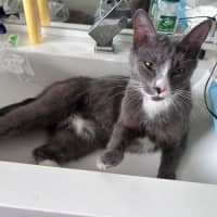 Photo of Rebel Whopper 🍔 🍟 🥤 