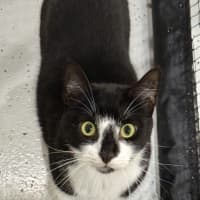 Photo of Gabby