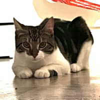 Photo of Christopher 