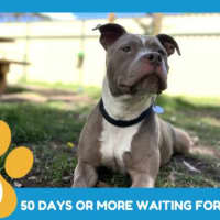 Photo of Wilma