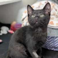 Photo of Edna