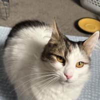 Photo of Claire