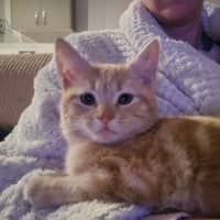 Photo of Declan