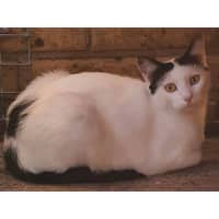 Photo of 2733   Carimba