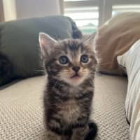 Photo of Marvin