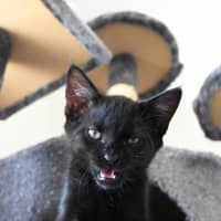 Photo of Ernest