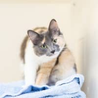 Photo of Tammy