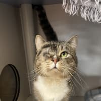 Photo of Tommy
