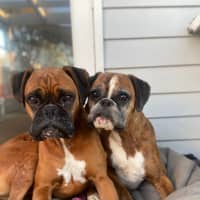 Photo of Lloyd And Harry