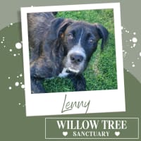 Photo of Lenny