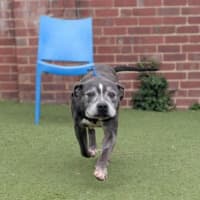 Photo of Unit