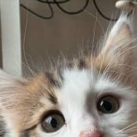 Photo of Milly
