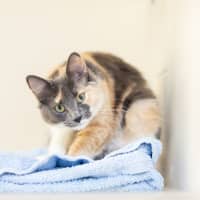 Photo of Tammy