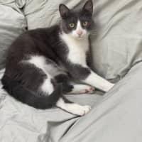 Photo of Storm (9173)