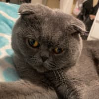 Photo of Tessa