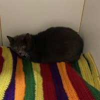 Photo of Amelie