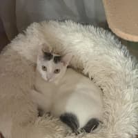 Photo of Agatha