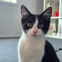 Photo of Penelope